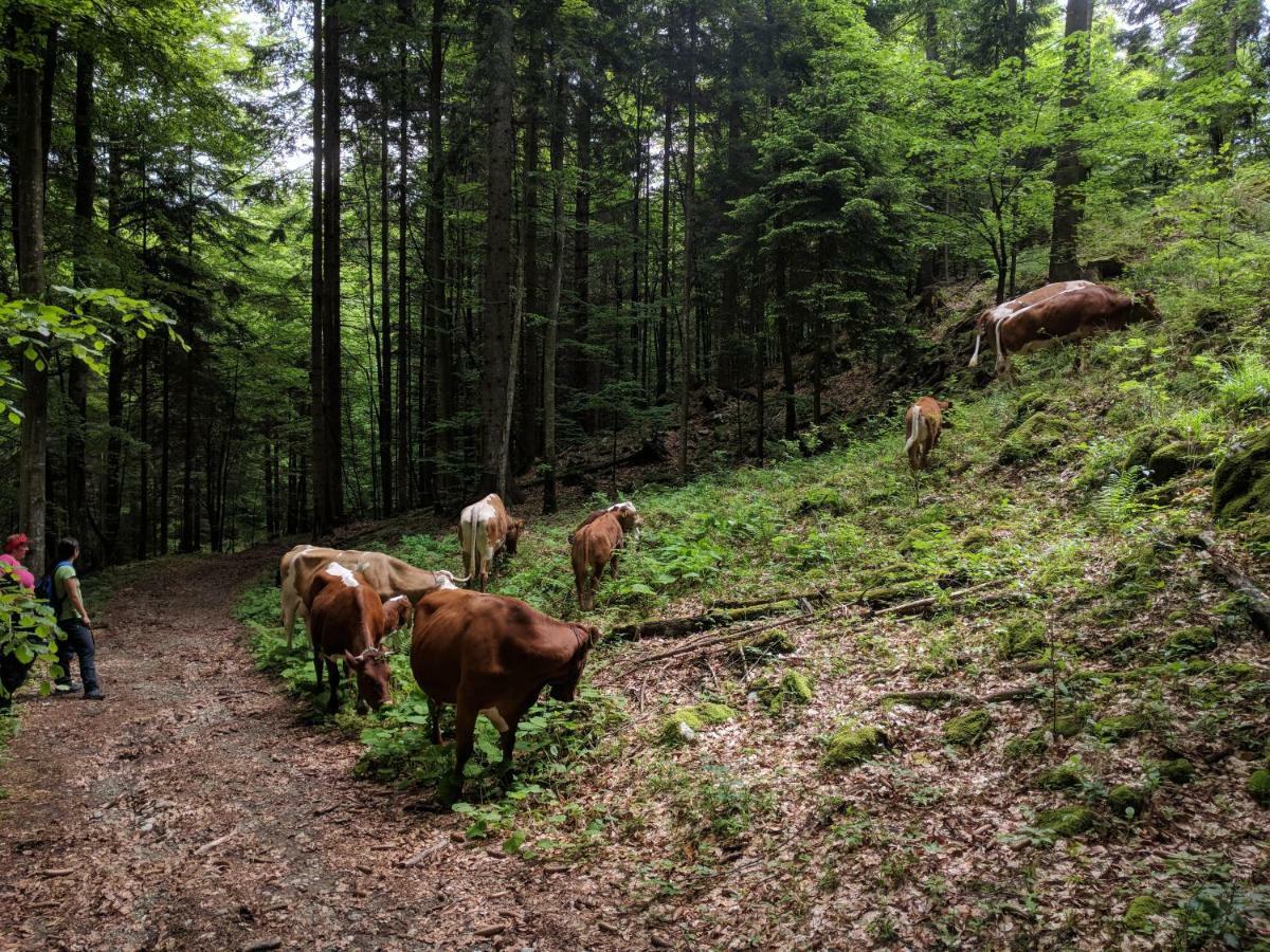 Vila Puzman Farm Glamping Radovljica Exteriér fotografie