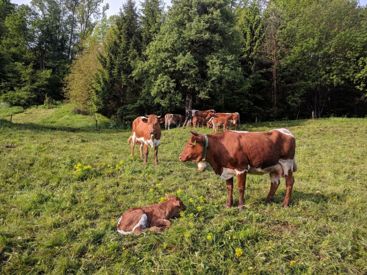 Vila Puzman Farm Glamping Radovljica Exteriér fotografie